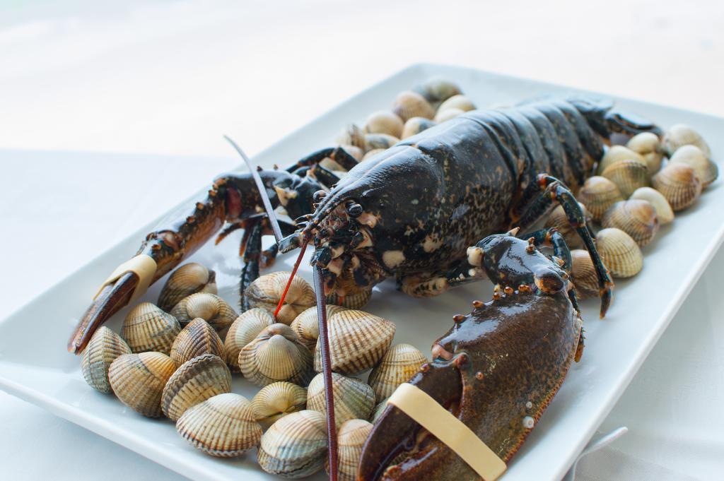 Hotel Restaurante Loureiro Bueu Ngoại thất bức ảnh